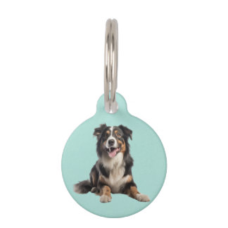 Médaillon Pour Animaux Black Merle Australian Shepherd |