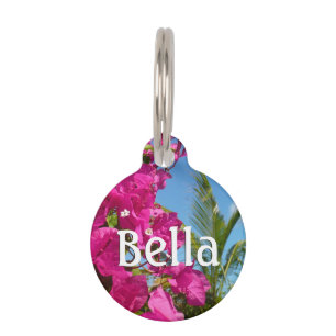 Médaillon Pour Animaux Bougainvilliers et palmiers paysage tropical
