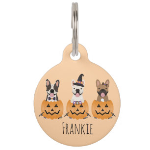 Médaillon Pour Animaux Bouledogues Français Trick Or Treat Citrouille