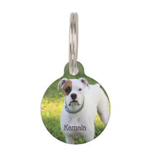 Médaillon Pour Animaux Boxer