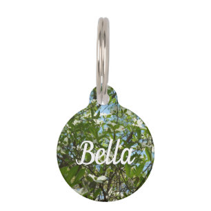 Médaillon Pour Animaux Branche of Dogwood Blossoms Spring Trees
