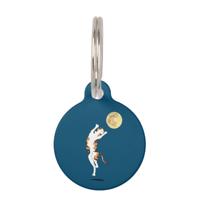 Médaillon Pour Animaux Calico Cat Moon Danse (Devant)