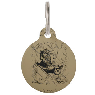 Médaillon Pour Animaux Capricorne Constellation Carte Hevelius circa 1690