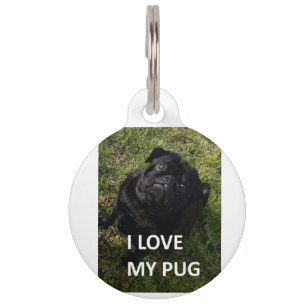 Médaillon Pour Animaux carlin noir amour avec pic