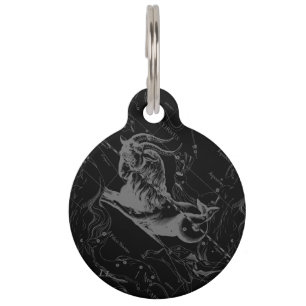 Médaillon Pour Animaux Carte Capricorne Constellation Hevelius Vintage 16