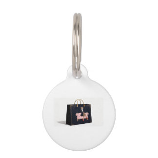 Médaillon Pour Animaux CAT WALK – Fashionable Felines