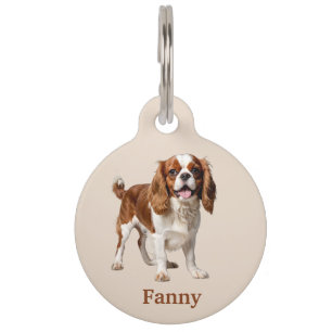 Médaillon Pour Animaux Cavalier King Charles Spaniel Personnalisé