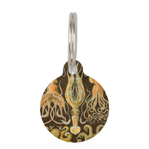 Médaillon Pour Animaux Cephalopod poulpe calmar Nature marine