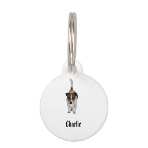 Médaillon Pour Animaux Charlie le Fox Terrier,