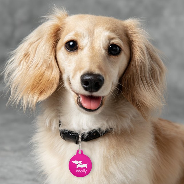 Médaillon Pour Animaux Charme Rose Personnalisé Nom Contact pour Teckel (Pink dachshund ID tag for wiener dogs)