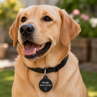 Médaillon Pour Animaux Chasseur de friandises – Sur mesure