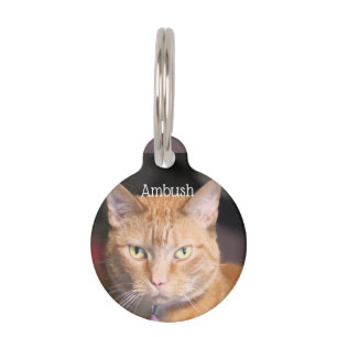 Médaillon Pour Animaux Chat      