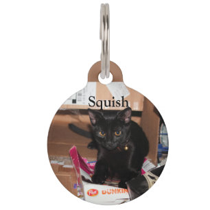 Médaillon Pour Animaux Chat