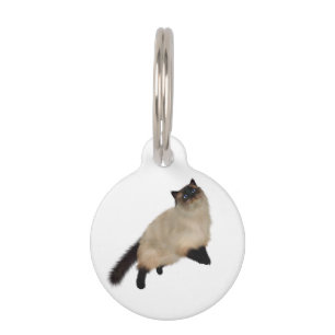 Médaillon Pour Animaux Chat à cheveux longs