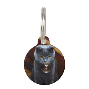 Médaillon Pour Animaux Chat et bulle de savon