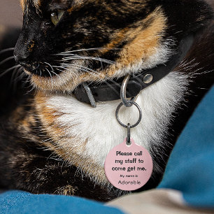 Médaillon Pour Animaux Chat, Kitten Balise perdue, Petite 0,88"