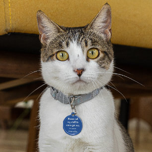 Médaillon Pour Animaux Chat, Kitten Balise perdue, Petite balise d'ID d'a