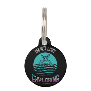 Médaillon Pour Animaux Chat Sphynx Drôle Personnalisé 