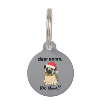 Médaillon Pour Animaux Cher Père Noël, Nous Sommes Bien ? Balise Nom du c
