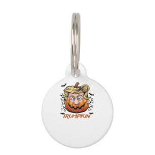 Médaillon Pour Animaux Cheveux drôle de Citrouille Halloween Boo - Humour