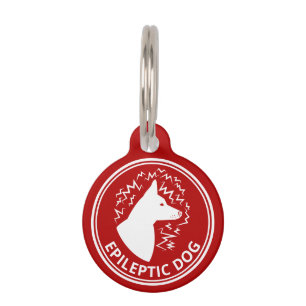 Médaillon Pour Animaux Chien Blanc Aux Oreilles Dressées Alerte Chien Épi