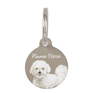 Médaillon Pour Animaux Chien Blanc Bichon Frise Boucle Mignon