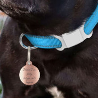 Chien de compagnie Chat Drôle Humour Joli Rose Gol