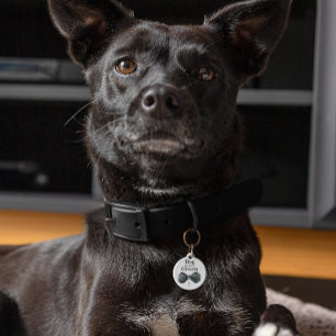 Médaillon Pour Animaux Chien de la chambre   Chien en Mariage
