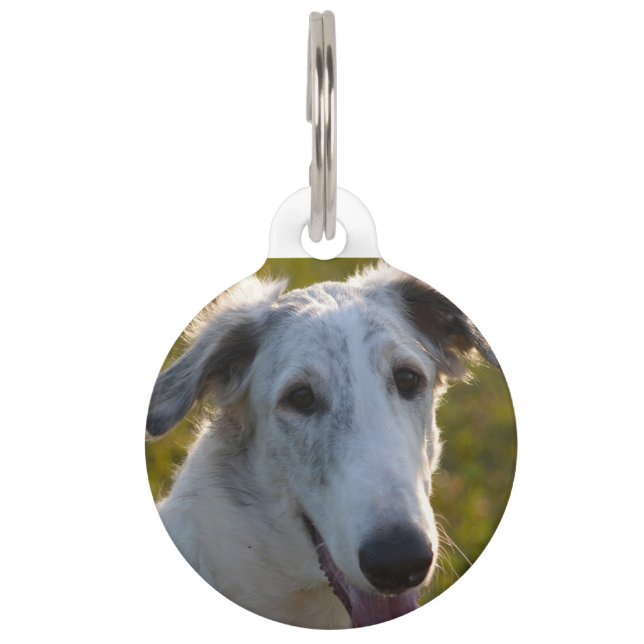 Médaillon Pour Animaux Chien de Loup Russe de Borzoi. (Devant)
