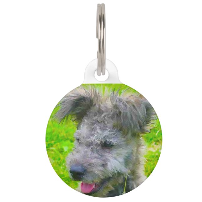 Médaillon Pour Animaux Chien de Pomi Hongrois. (Devant)
