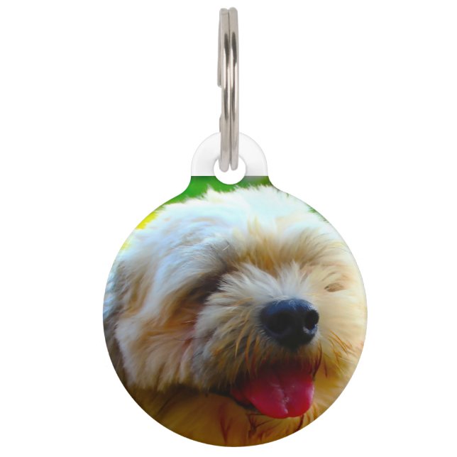 Médaillon Pour Animaux Chien Lhasa Apso. (Devant)