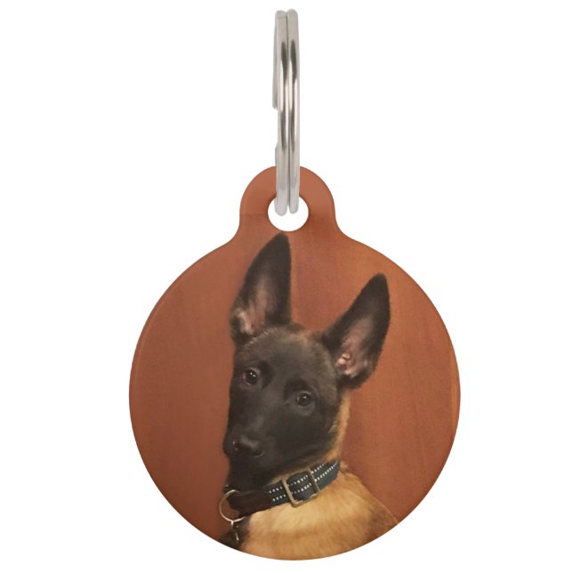 Médaillon Pour Animaux Chien malinois (Devant)