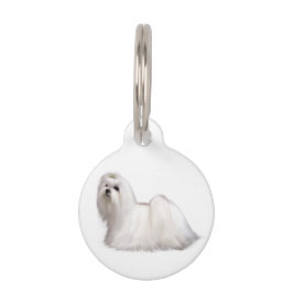 Médaillon Pour Animaux Chien maltais