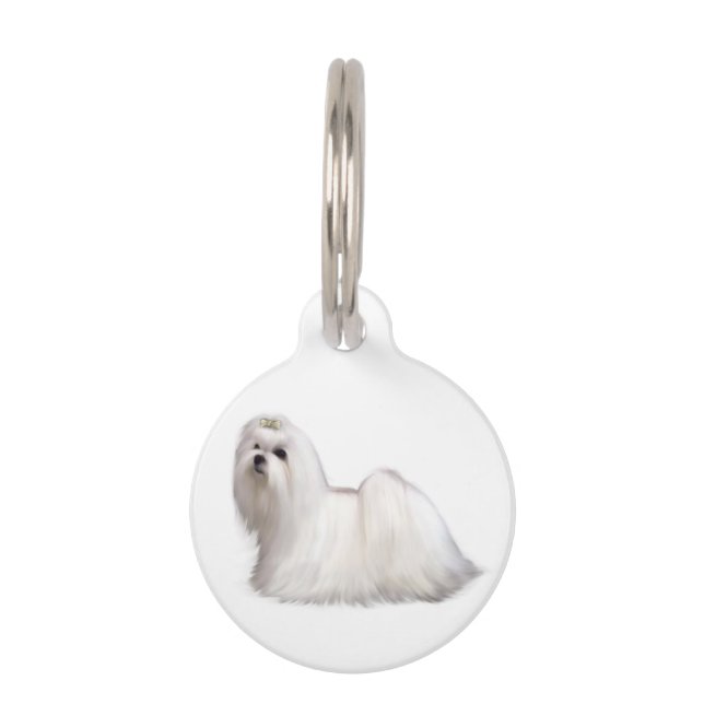 Médaillon Pour Animaux Chien maltais (Devant)