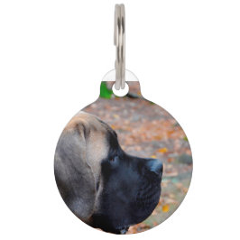 Médaillon Pour Animaux Chien Mastiff anglais.