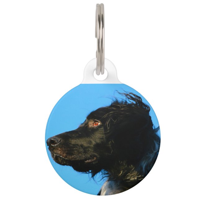 Médaillon Pour Animaux Chien Munsterlander. (Devant)