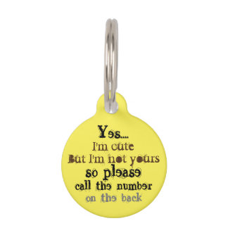 Médaillon Pour Animaux chien perdu