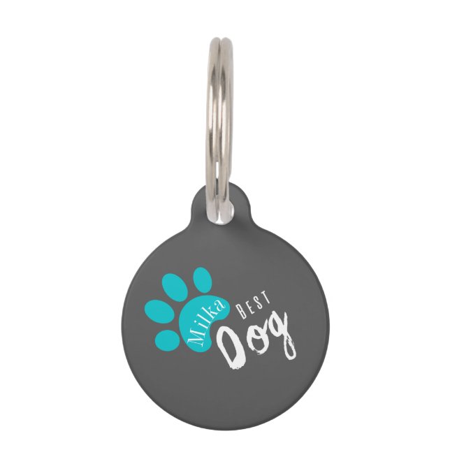 Médaillon Pour Animaux Chien personnalisable Citation amusante Accusé d'a (Devant)