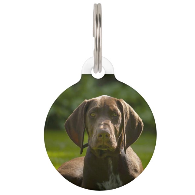Médaillon Pour Animaux Chien Pointeur Allemand. (Devant)