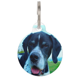 Médaillon Pour Animaux Chien Pointeur Anglais.