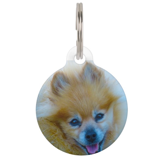 Médaillon Pour Animaux Chien Poméranie. (Devant)