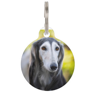 Médaillon Pour Animaux Chien saluki