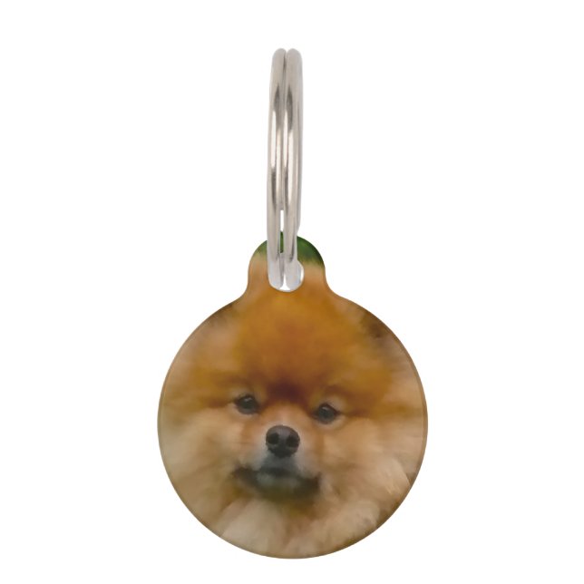 Médaillon Pour Animaux Chien Spitz Poméranien nain. (Devant)