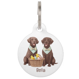 Médaillon Pour Animaux Chiens de récupération du labrador de pâques
