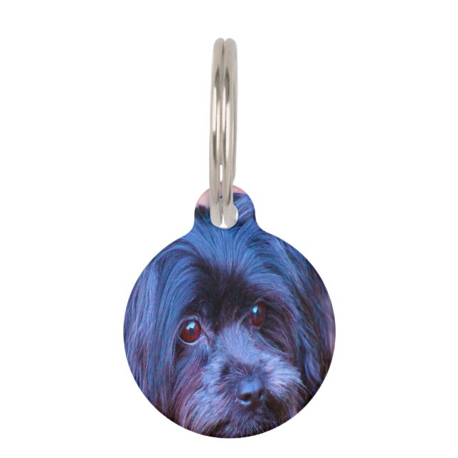 Médaillon Pour Animaux Chih Tzu Chien. (Devant)