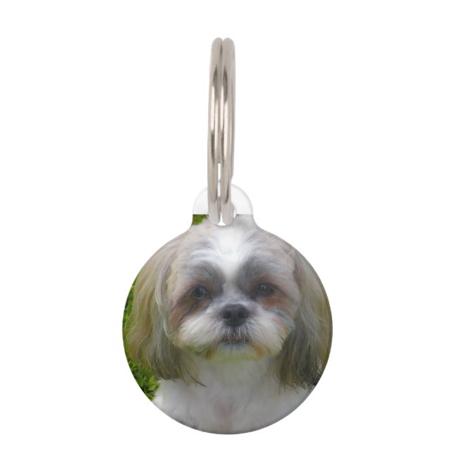 Médaillon Pour Animaux Chih Tzu Chien. (Devant)