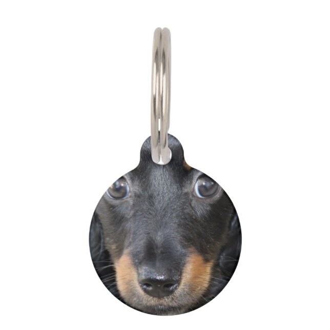 Médaillon Pour Animaux Chiot de teckel (Devant)