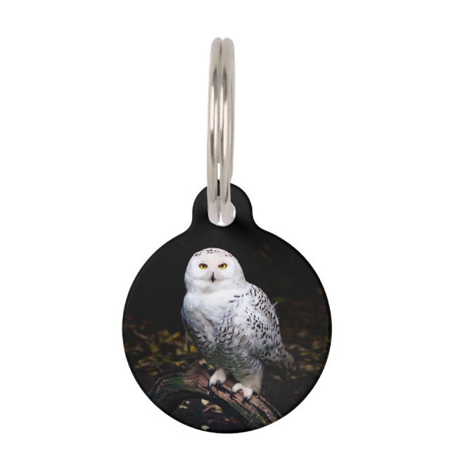 Médaillon Pour Animaux Chouette hivernale majestueuse (Devant)