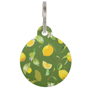 Médaillon Pour Animaux Citron et feuille 5 d'aquarelle