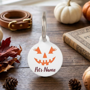 Médaillon Pour Animaux Citrouille personnalisée Jack O Lantern Halloween